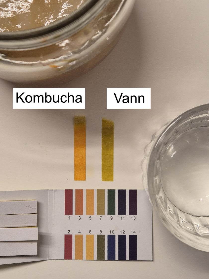 PH strips