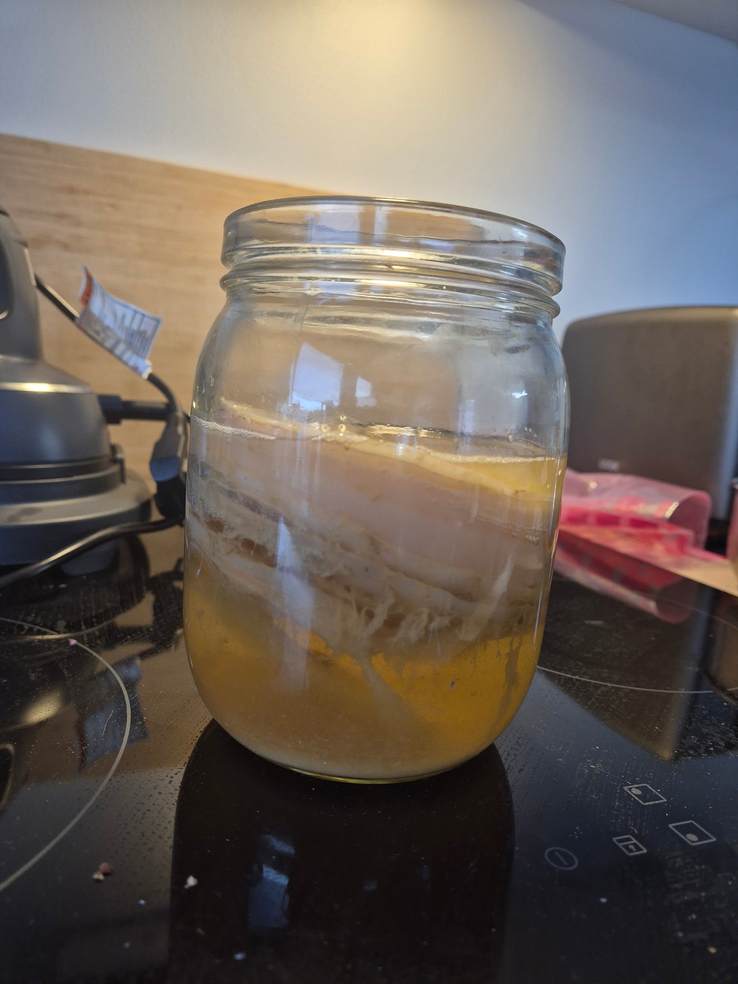 Ekte økologisk Kombucha Scoby