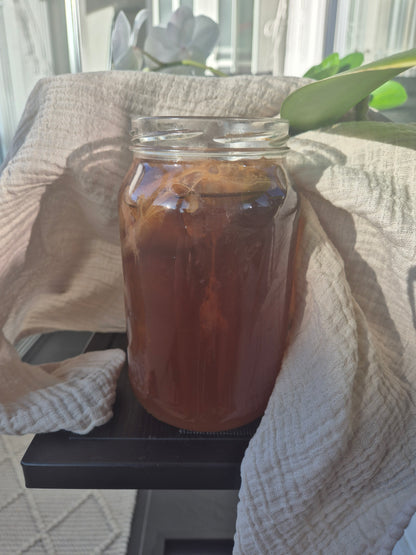 Kombucha Scoby