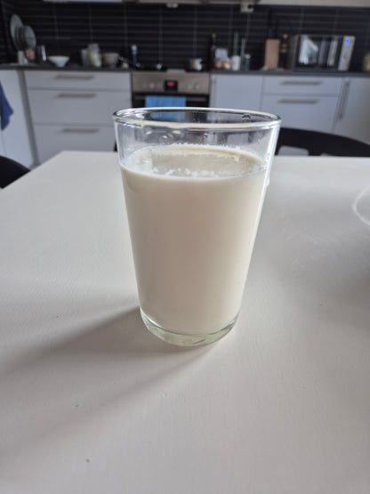 Ekte økologiske kefirkorn - Tørket